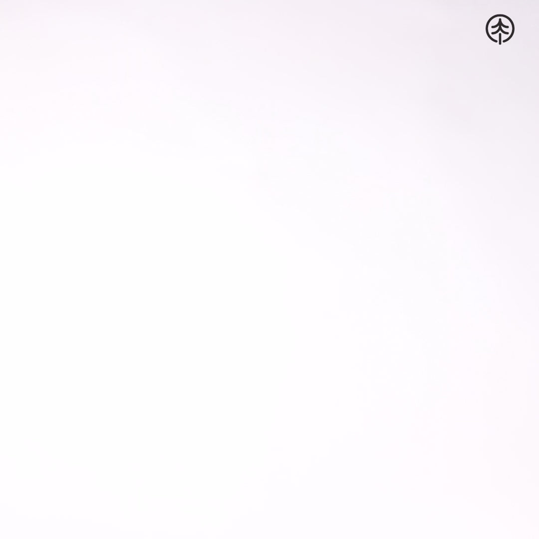 World Traveller Wallet