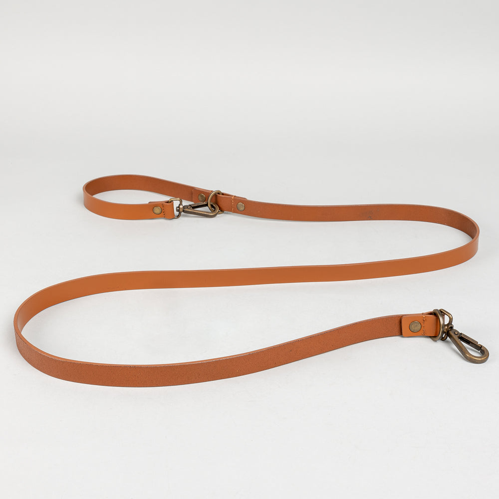 Pet Leash