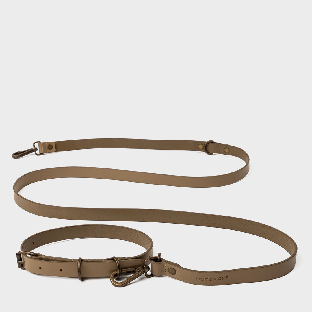 Pet Collar