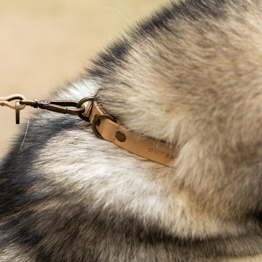 Pet Collar
